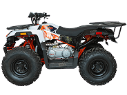 Бензиновые квадроциклы