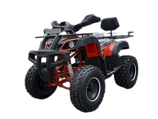 Интернет-магазин GONKA.BY мототехника для города и бездорожья. Рассрочка,, кредит, лизинг без переплат, оплата частями, без первоначального взноса, онлайн - фото квадроцикл atv 250 lite 