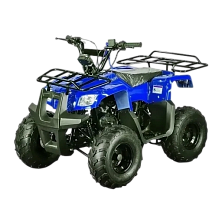 Интернет-магазин GONKA.BY мототехника для города и бездорожья. Рассрочка,, кредит, лизинг без переплат, оплата частями, без первоначального взноса, онлайн - фото квадроцикл motoland atv rider  